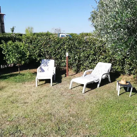 L'aia Degli Olivi *