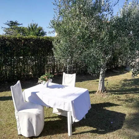 L'aia Degli Olivi Appartamento