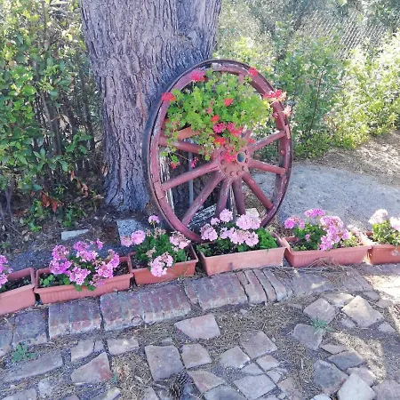 L'aia Degli Olivi * Vada